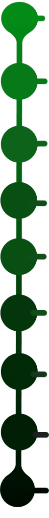 linae-verde-mobile-vertical-2